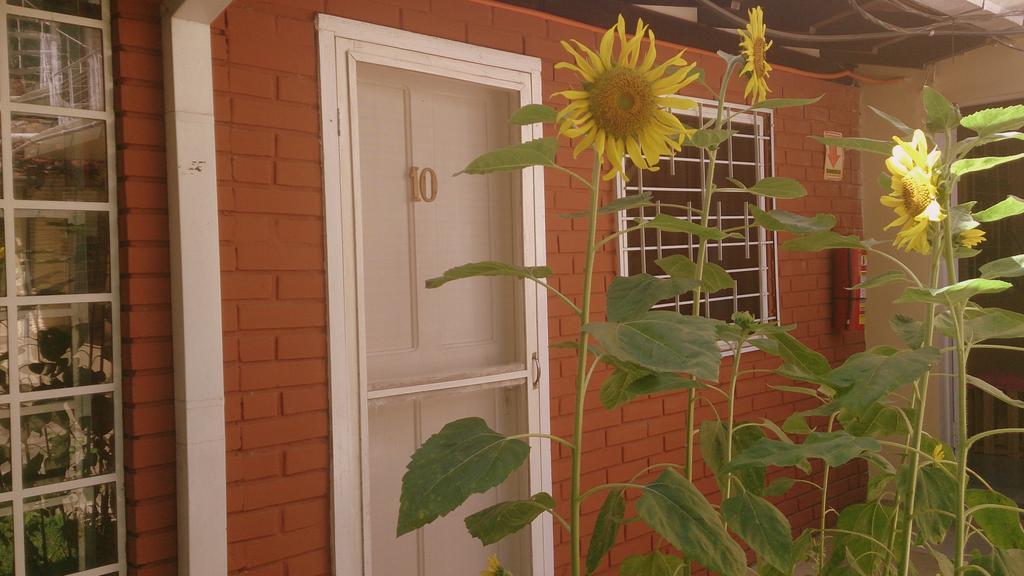 Posada Shalom Asuncion Bagian luar foto